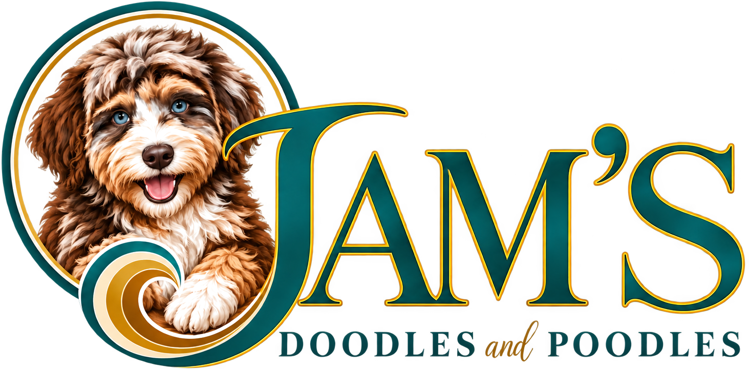 Jam's Doodles and Poodles logo featuring a curly doodle puppy in a teal and gold crest